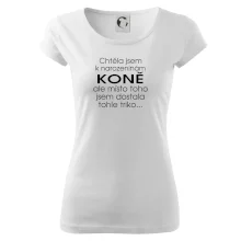 Chtěla jsem dostat k narozeninám koně Chtěla jsem dostat k narozeninám koně