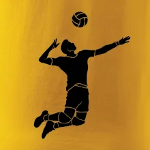 Volejbal nápřah muž