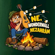 Ne Wonderwall nezahrám