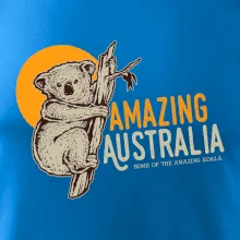 Amazing Australia koala
