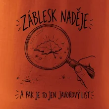 Záblesk naděje