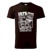 V kostce pro fanouška automobilismu 1975