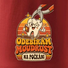 Odebírám moudrost na počkání