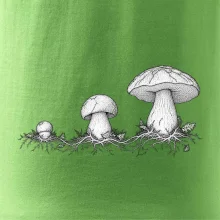 Životní cyklus hřibu