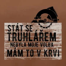 Stát se truhlářem nebyla moje volba