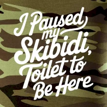 I Paused My Skibidi Toilet to be Here