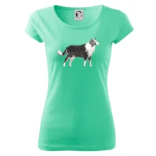 Border kolie kreslená