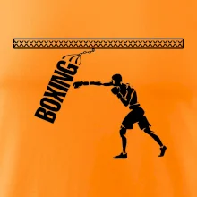 Boxing boxer
