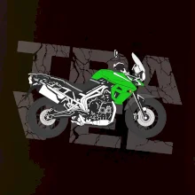 Cestovní enduro zelená