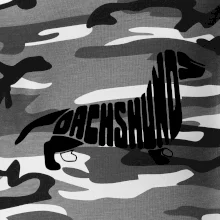 Jezevčík - Dachshund