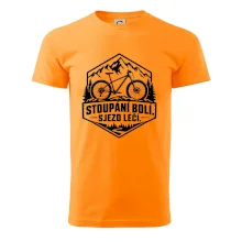 Stoupání bolí sjezd léčí - horské kolo