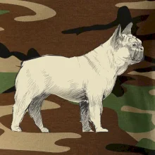 Vintage French bulldog