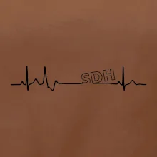 SDH EKG