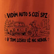 Vidím auto s cizí spz