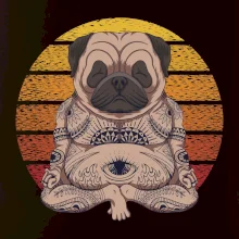 Yoga meditace - pug