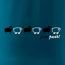 Jsem pasák - ovce v řadě