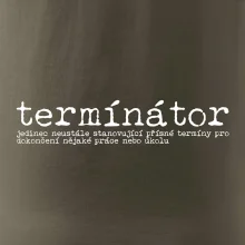 Čeština 2.0 - termínátor