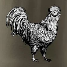 Kohout kreslený černobílý