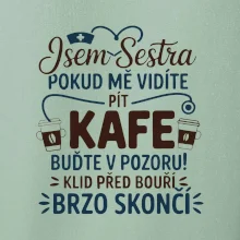 Jsem sestra  - Klid před bouří