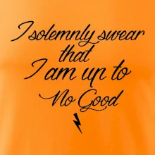 I solemnly swear that I'm up to no good
