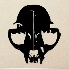 Kočka - Cat skull