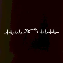 Moto EKG Moto EKG