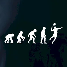 Evoluce Badminton