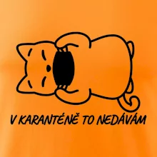 V karanténě to nedávám