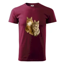 Kočky vectorizované  (Moňas)