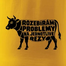 Rozebírám problémy na jednotlivé řezy