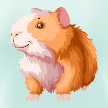 Morče - kreslené, bílo oranžové