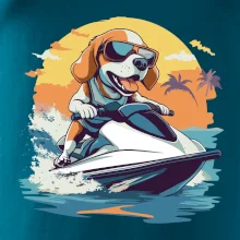 Bígl na vodním skútru