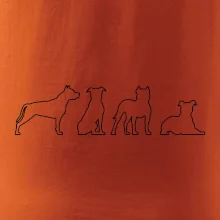 Americký stafordširský teriér v různých pozicích