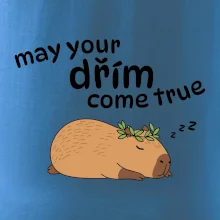 May your dřím come true