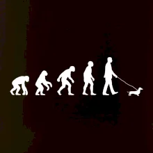 Jezevčík Evoluce muž