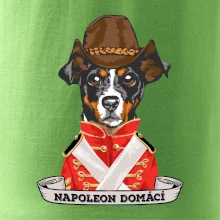 Napoleon domácí pes kříženec