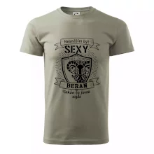 Nesnáším být tak skvělý - Beran