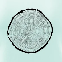 Letokruhy 55 bez věku