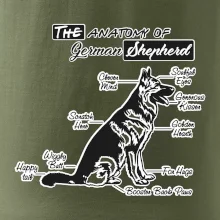 Německý ovčák - Anatomie