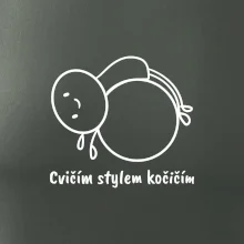 Cvičím stylem kočičím