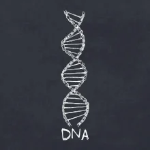 Cyklistovo DNA