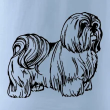 Shih-tzu - chlupatý