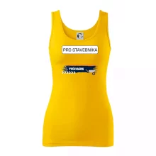 Stavba - vlastní nápis - stavebník