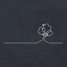 Strom s ptáčkem linka