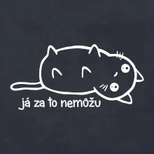 Já za to nemůžu