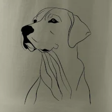 Labrador černá kresba