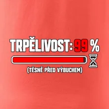 Trpělivost učitele načtená na devadesát devět procent