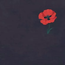 Vlčí mák kreslený na prsu