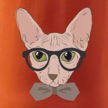 Hipster sphynx