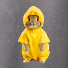 Králík v pláštěnce